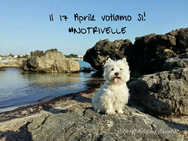 #NOTRIVELLE!