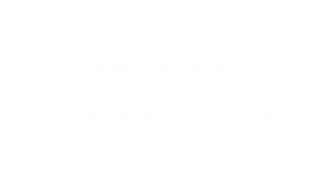 The Fashion Lover
